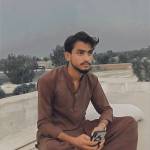 Sayed Saeed Profile Picture